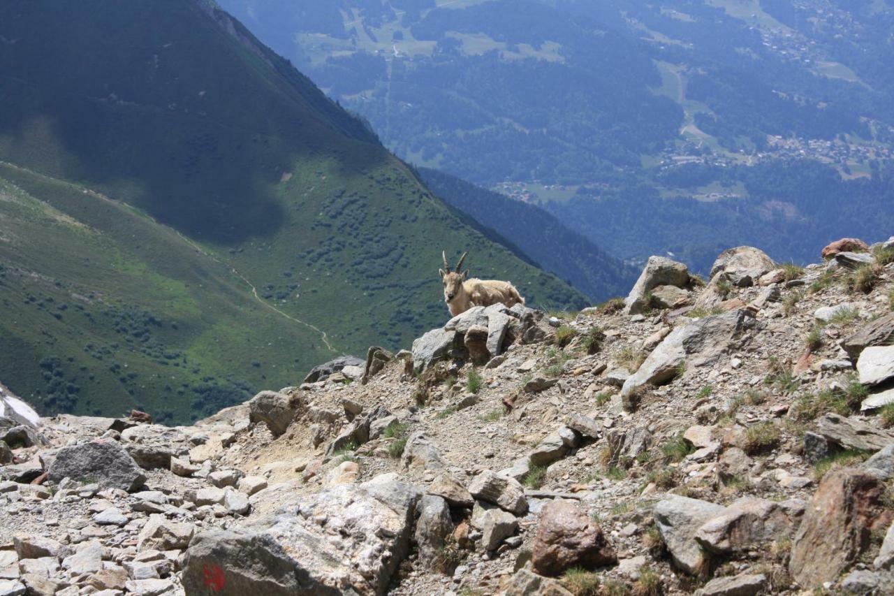 La Case Panzió Abondance Kültér fotó